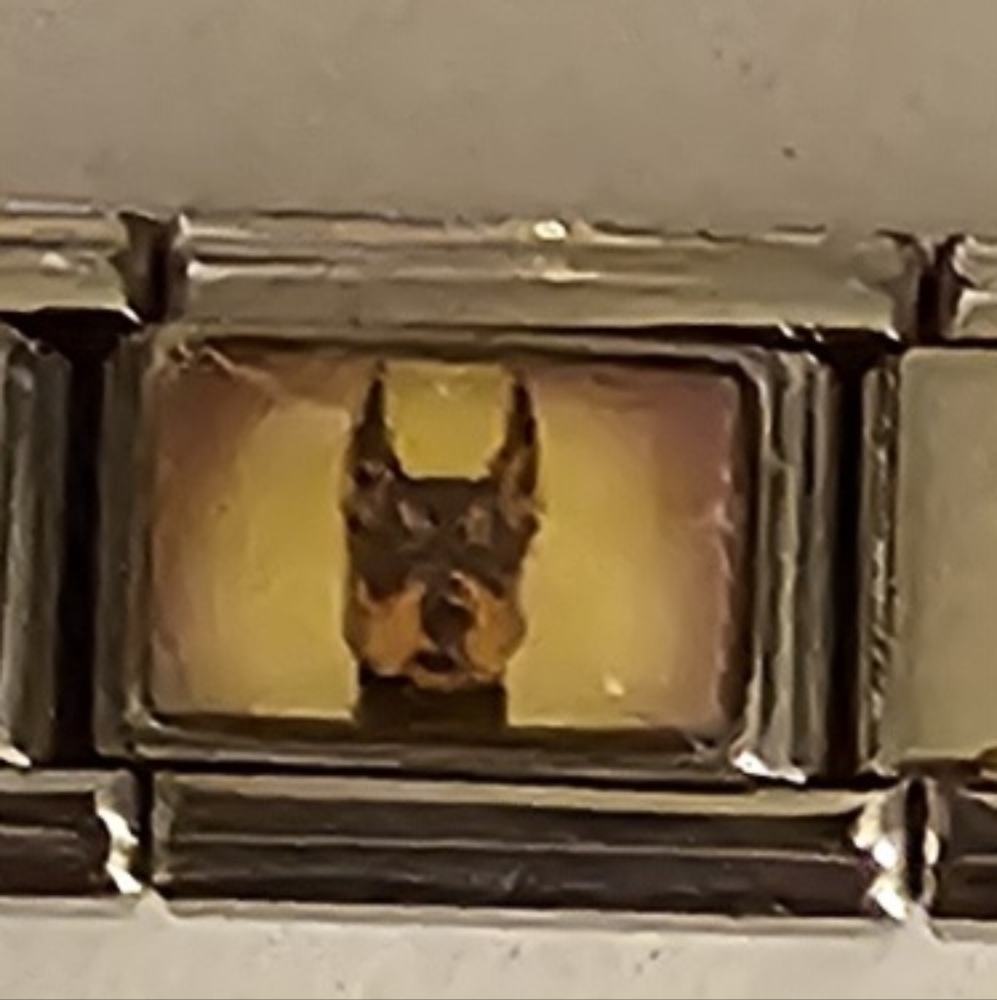 Italian Charms Chose Scorpion, Dashound, and Doberman
